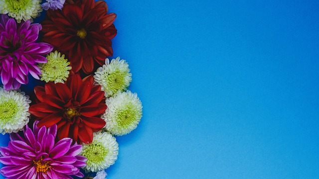 队可能交易 队可能交易