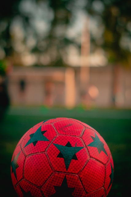 的典型案例 的典型案例