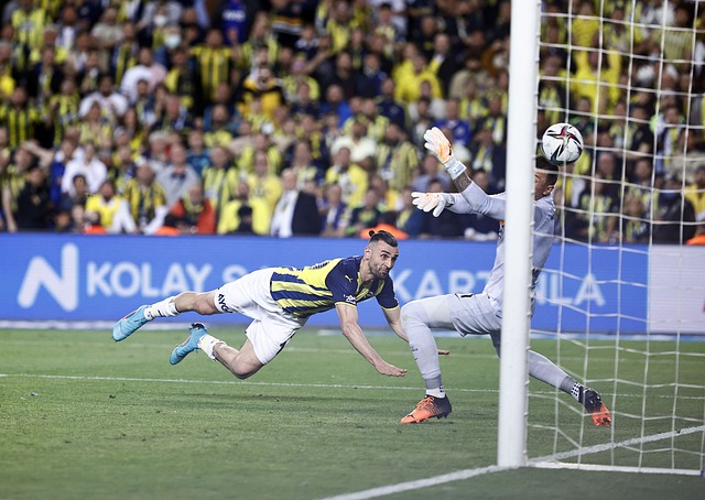 露西亚或将 露西亚或将