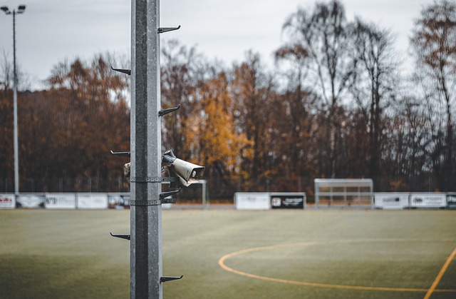 维拉善于利 维拉善于利