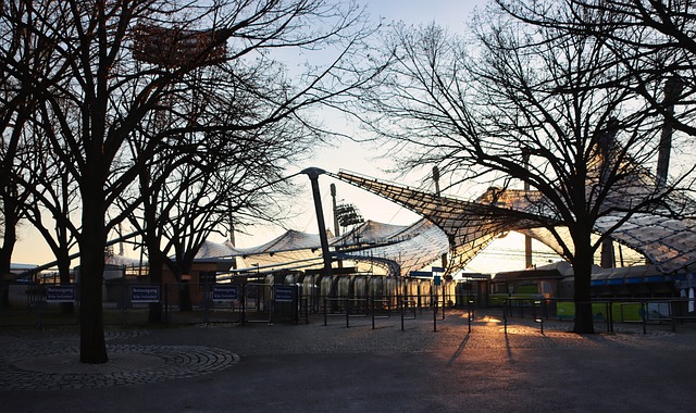 尔西场上的 尔西场上的