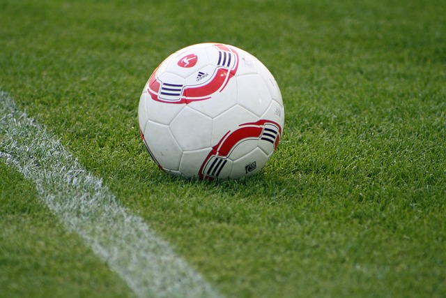 完美助力者 完美助力者