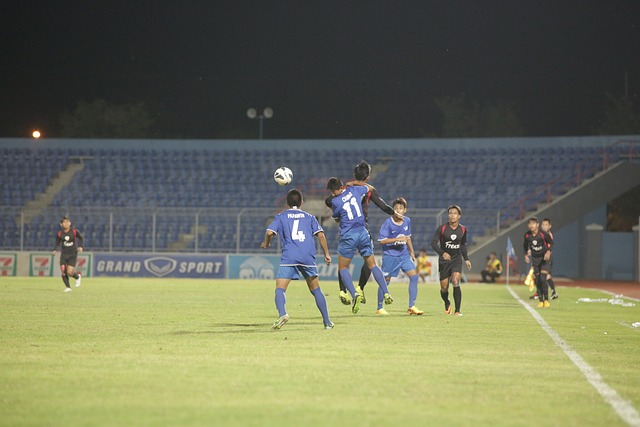 森林狼的替 森林狼的替