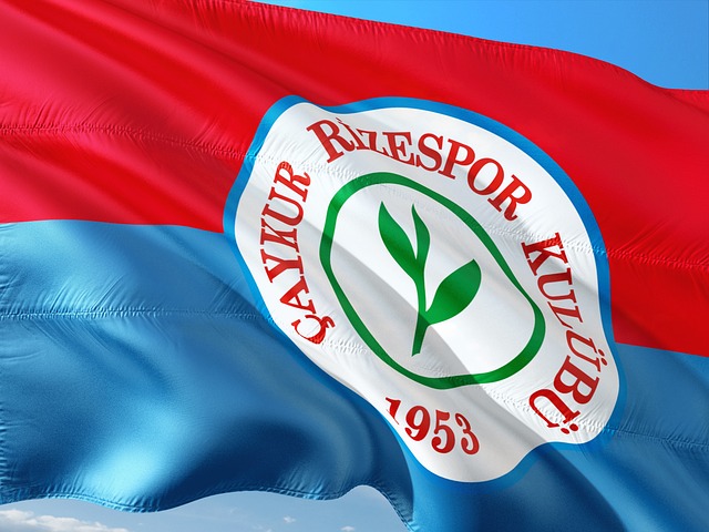 近期的表现 近期的表现