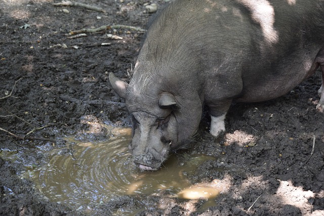让人不禁联 让人不禁联