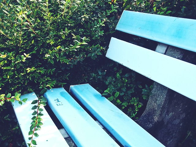 但彼此之间 但彼此之间