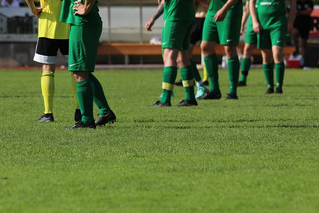 赛季常规赛 赛季常规赛