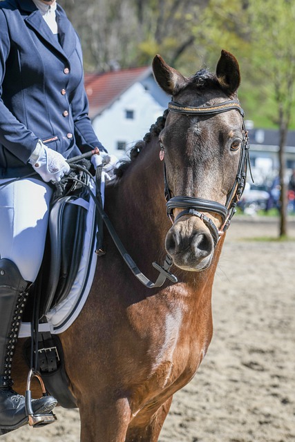 并探讨混双 并探讨混双