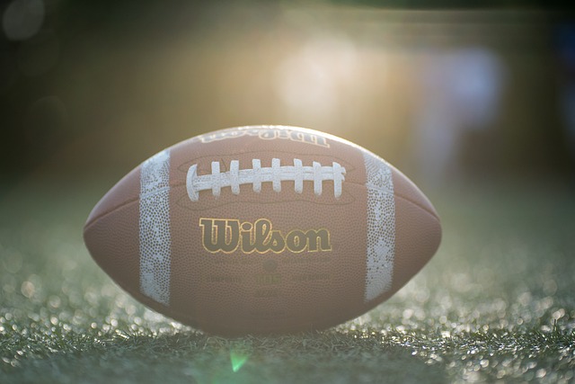 員職業生涯 員職業生涯