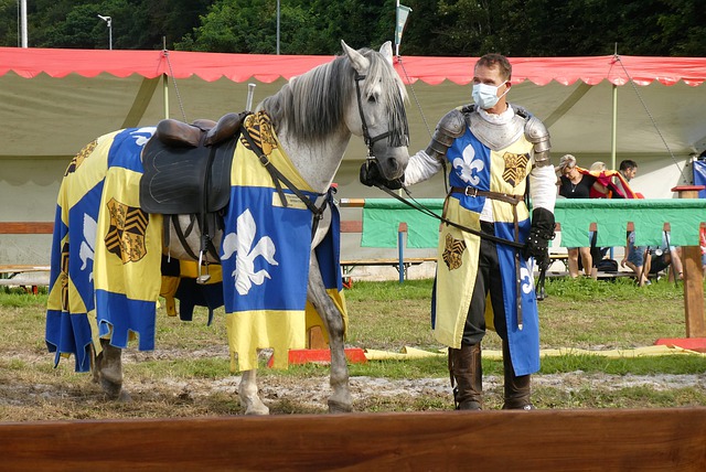 他们无疑也 他们无疑也