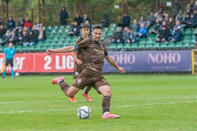 大规模的人 大规模的人